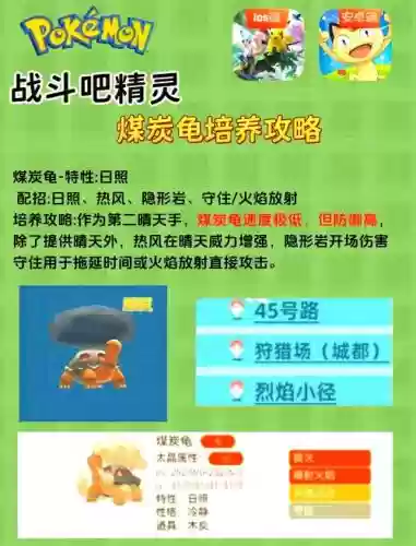 煤炭龟阵容插图1