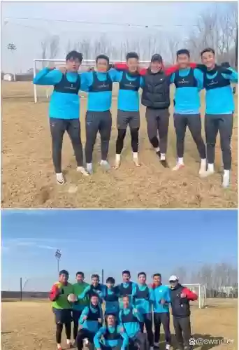 河南雪豹阵容插图1