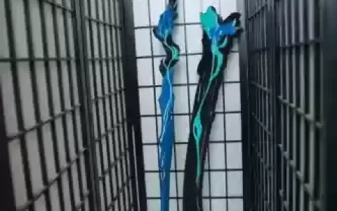 霸刀入门武器真帅