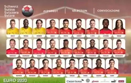 瑞士牙阵容插图