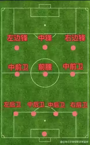 433阵容大全插图