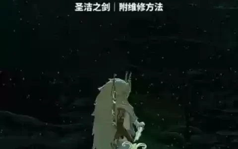 塞尔达古代武器怎么换