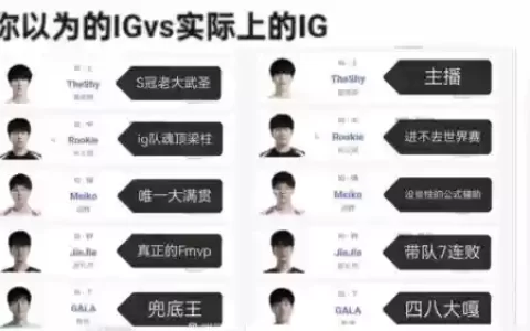 ig阵容段子
