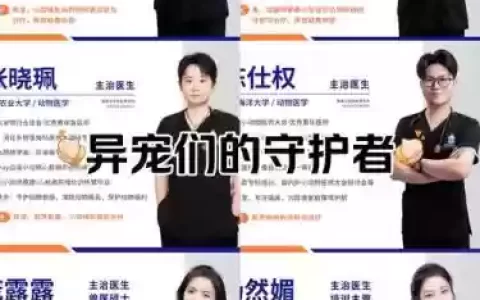 医生奇葩阵容_1