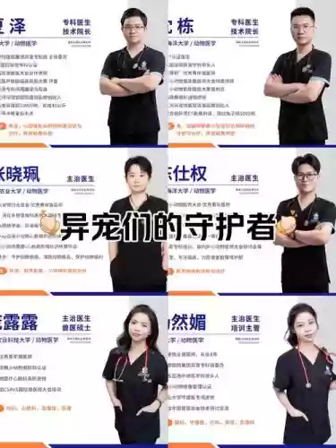 医生奇葩阵容_1插图