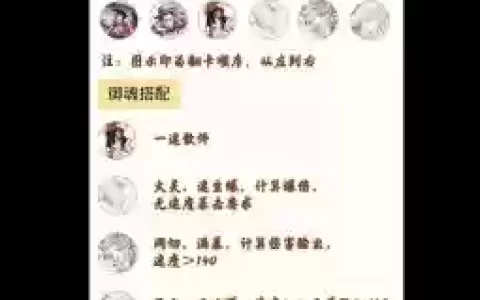 斗技神婆阵容