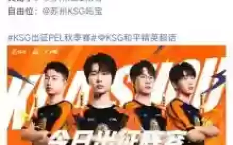 ksg阵容不行