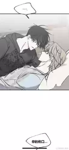 爱相随攻略程城插图 爱相随攻略程城插图