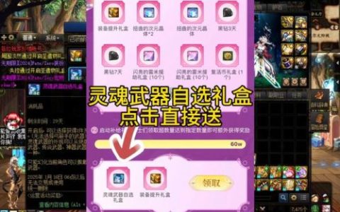 武器自选礼盒