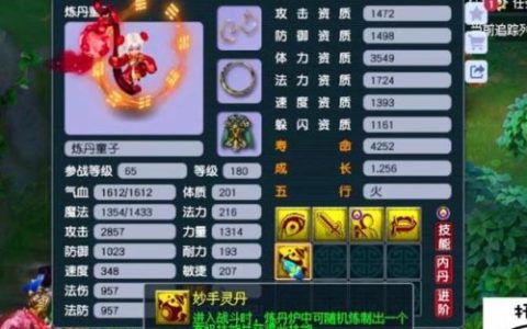 梦幻西游夜战属性