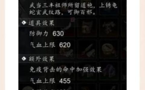 武当禁地阵容