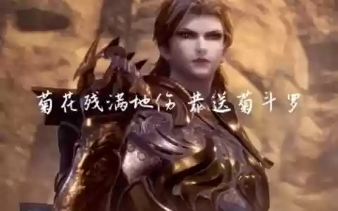 菊花关阵容
