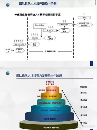 人才首发阵容插图