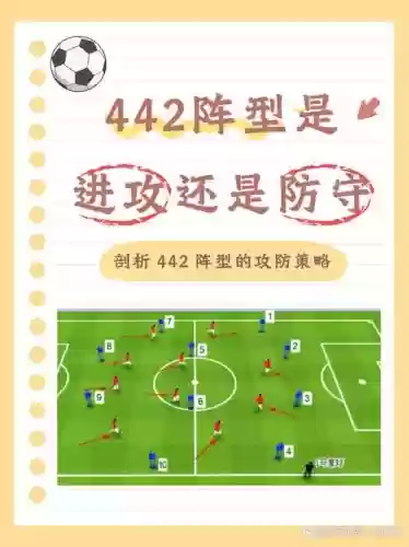 新版442阵容插图1 新版442阵容插图1