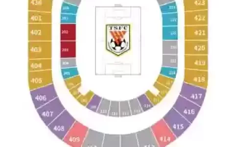 鲁能阵容位置