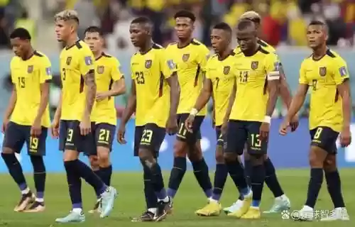 厄瓜多尔现在阵容插图 厄瓜多尔现在阵容插图