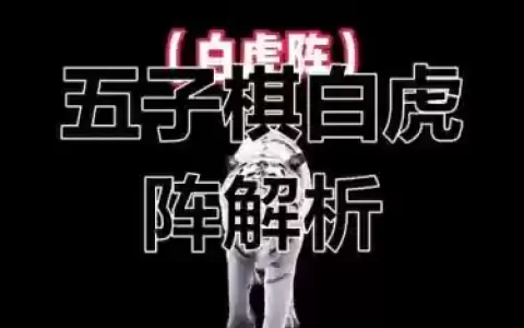 新手老虎阵容