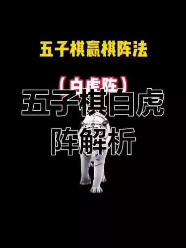 新手老虎阵容插图