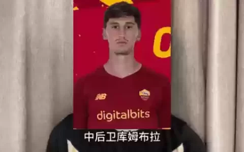 罗马阵容伤病