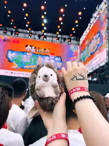 万青阵容插图