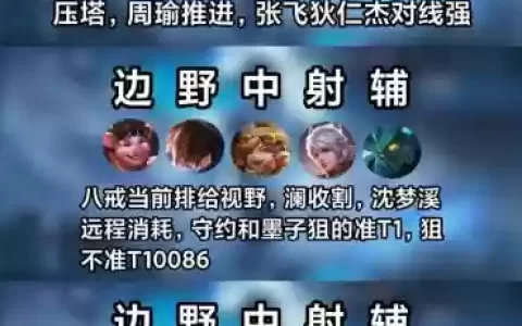 王者各种阵容