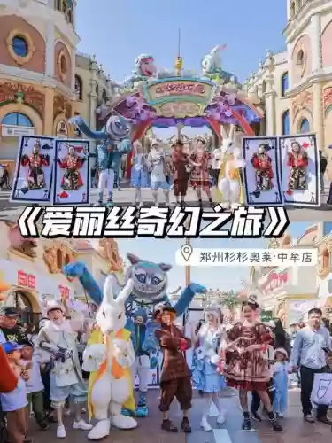 爱丽丝搭配阵容插图1