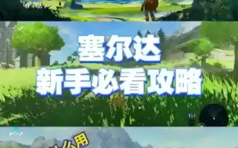 zad塞尔达攻略