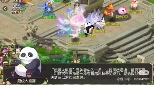 梦幻西游熊猫号插图