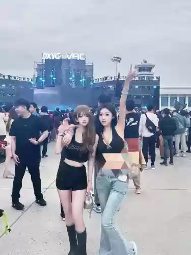 万青阵容插图1