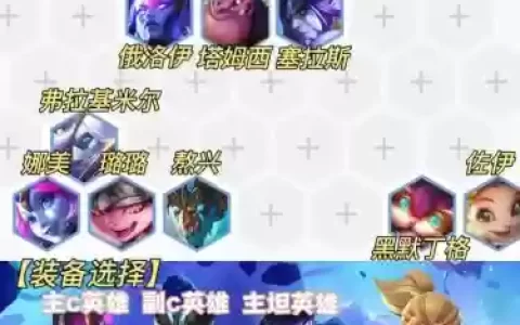娜美阵容_1