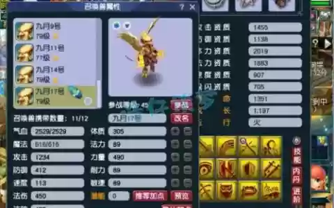 梦幻西游雷鸟人内丹打什么