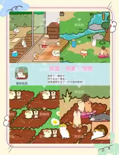 小猫养成记游戏攻略插图1