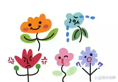 花朵表情阵容插图