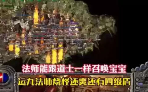 热血传奇法师最佳搭配阵容