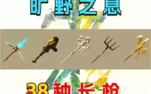 塞尔达传说武器30-16