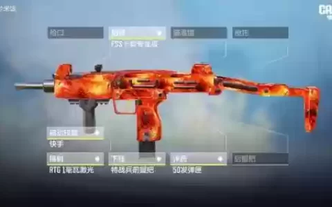 使命九武器皮肤