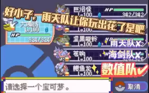 胖子雨天阵容插图 胖子雨天阵容插图