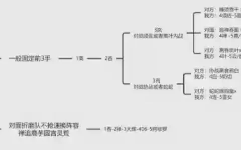 山岚斗技阵容_1