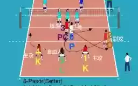 排球阵容讲解