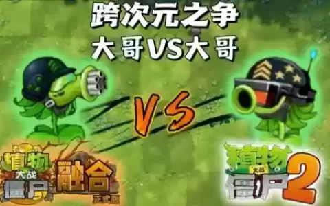 大哥改技能