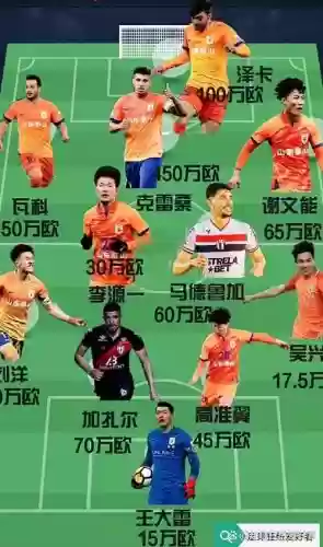 大宝中卫阵容_1插图1 大宝中卫阵容_1插图1