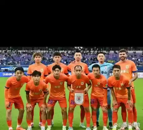 老泰山阵容_1插图1