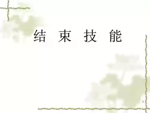 结束技能插图
