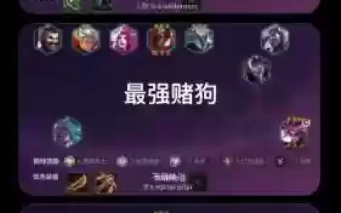 新版vn阵容