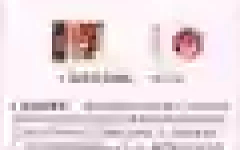 雪儿阵容推荐_1