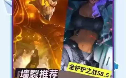 莎龙阵容