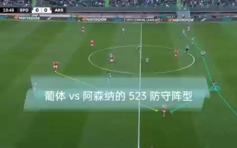 523阵容图