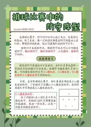 排球阵容讲解插图1
