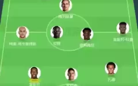 210法国阵容