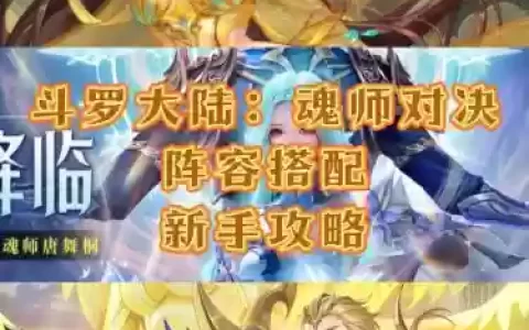 唐晨全民对决阵容搭配推荐